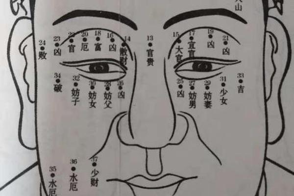 麻衣神相身体有痣_麻衣相法大全图解痣