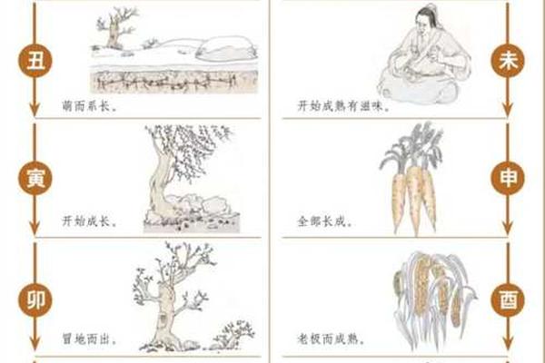 八字看学习