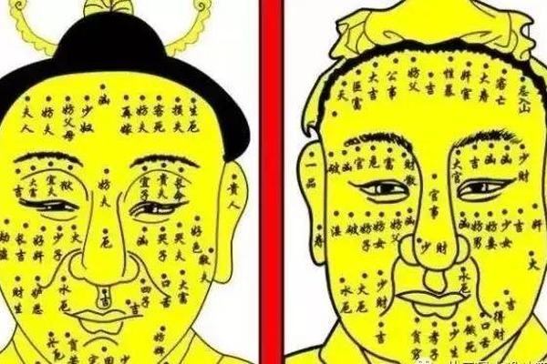 痣相根据 面部长痣全部图