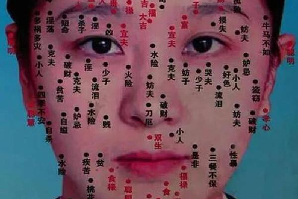 好心人的痣相、最有出息的痣相