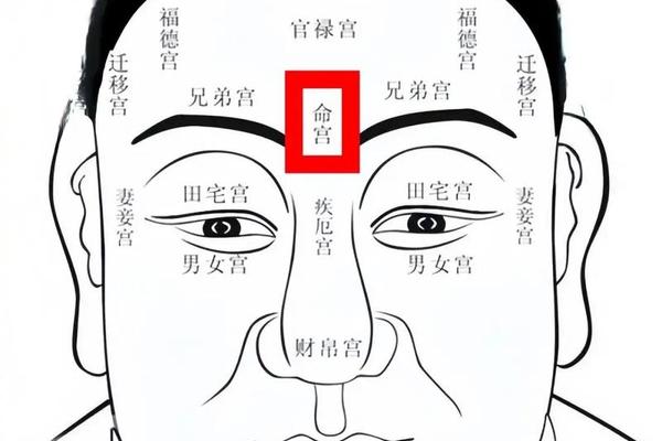 左眉痣相—男人左眉毛里有痣图解