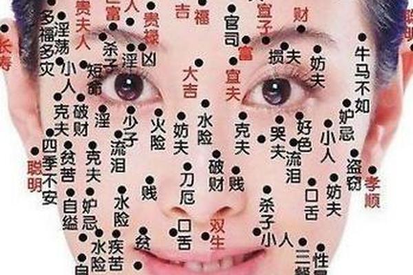 小孩痣相虎狗(小孩面部痣相图解)
