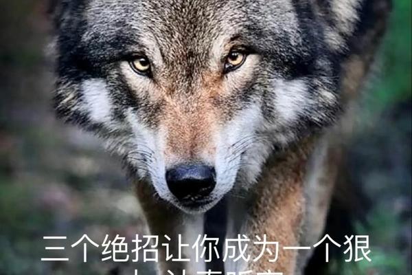 狼顾痣相;狼顾之相的人都很厉害