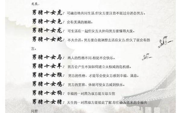 属猪人一生最克3个人 属猪人一生最克3个人
