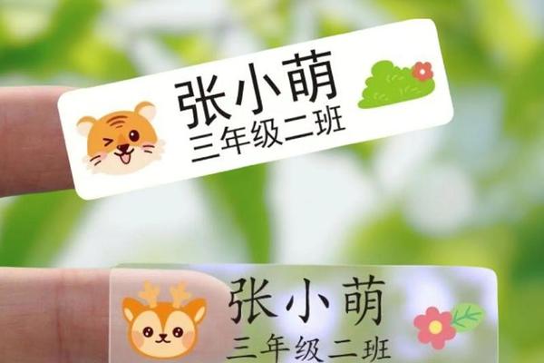 姓名贴胸针定制