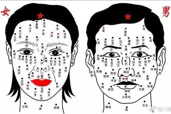 女人身体上的痣相解释—女人身体痣图解大全详解 女人身体上的痣相解释—女人身体痣图解大全详解