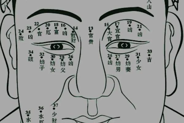额头痣痣相解释_额头上痣相图解