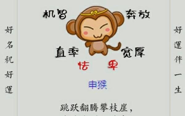 属猴和属什么最合财 最旺猴的五个属相 属猴和属什么最合财 最旺猴的五个属相
