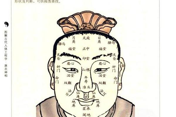 麻衣神相耳朵上长痣,麻衣神相耳朵痣图解