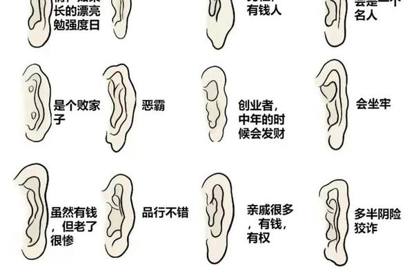 富贵命运的手相痣相,耳朵有痣的命运 图解