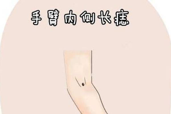 女生胳膊肘痣相,女人左胳膊肘长痣图解