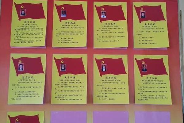 党员八字承诺