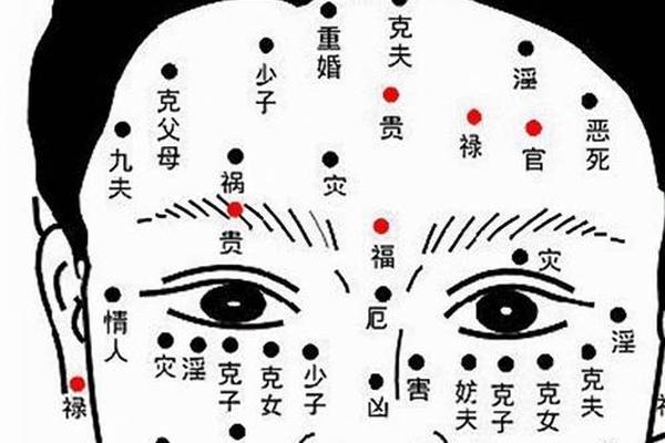 痣相解说眉毛(眉毛里长痣代表什么)