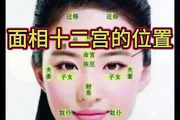 神相清冷师姐脸上有痣;麻衣神相女人面痣图解