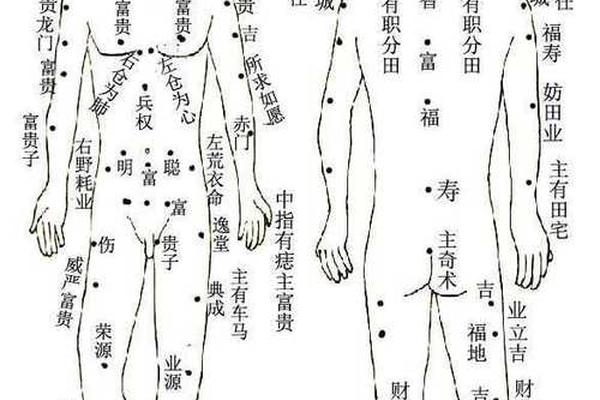 肩膀痣相解读—全身痣相图解大全 肩膀痣相解读—全身痣相图解大全