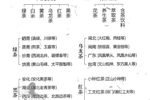 中国茶文化与茶健康属于什么类别;普洱茶属于什么茶系列