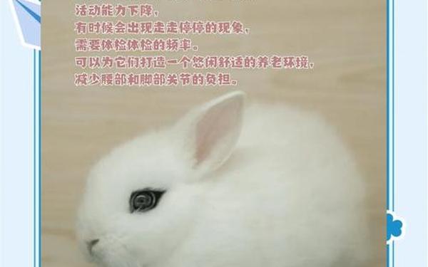 1963年的兔子几岁-63年兔63岁后大难临头 1963年的兔子几岁-63年兔63岁后大难临头