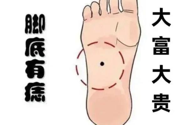 周易脚底痣相大全图解 脚底痣图片大全图解