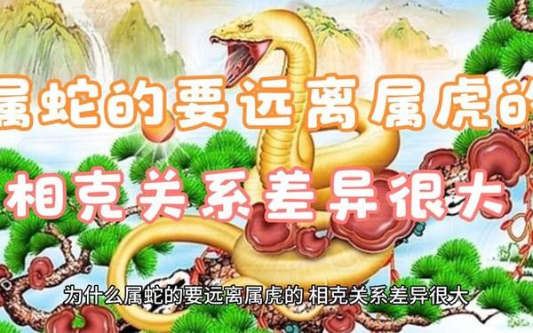 属虎的和属蛇的合得来吗 属虎的和属蛇的合得来吗