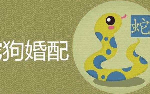 男蛇女狗能过一辈子吗_蛇一生离不开狗 男蛇女狗能过一辈子吗_蛇一生离不开狗