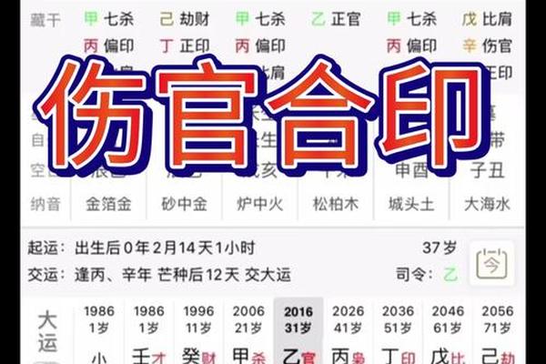 八字伤官合杀 八字伤官合杀