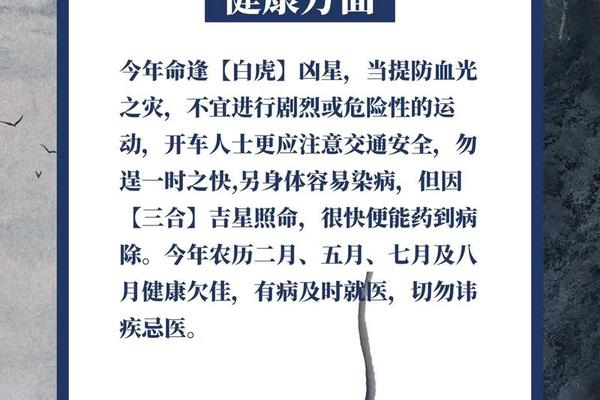 属鼠人2024年感情运势分析
