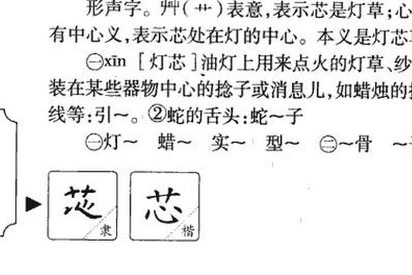 芯的姓名