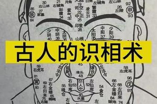 痣相下巴两边有痣,下巴轮廓有痣代表什么
