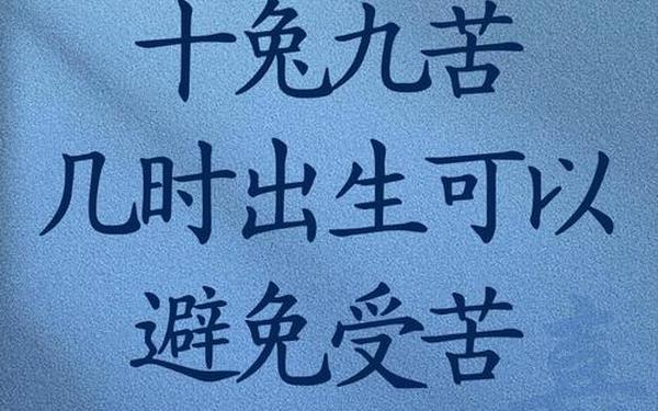 为什么说十兔九苦命 为什么说十兔九苦命