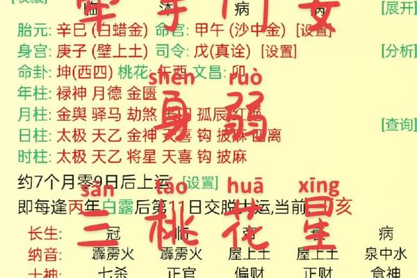 八字桃花星 八字桃花星