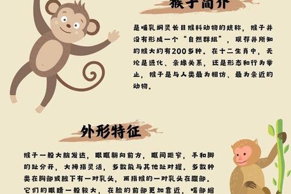 猴子有多少姓名和姓名呢