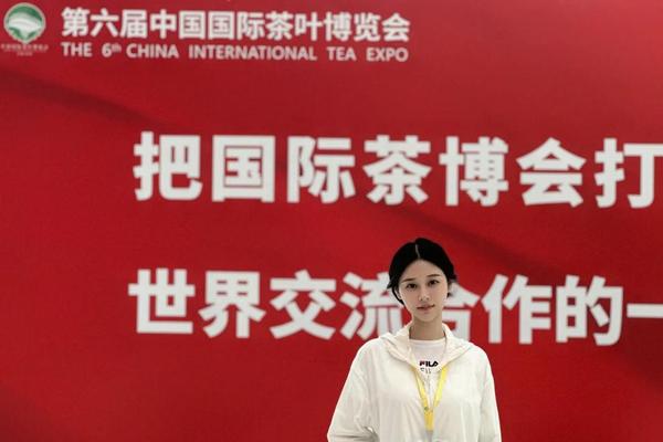 茶文化博览会北京-中国国际茶叶博览会官网