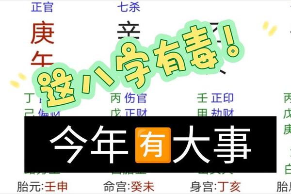 毒八字
