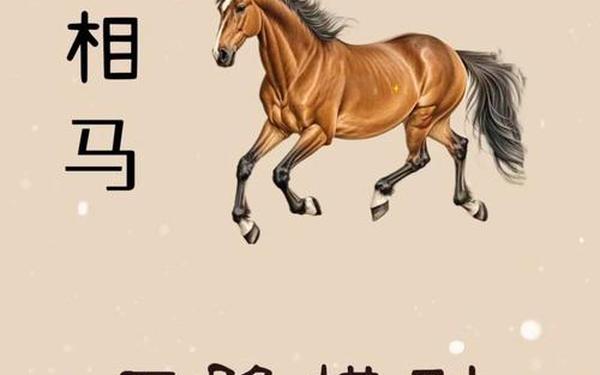 属马的是哪年哪月 属马的是哪年哪月