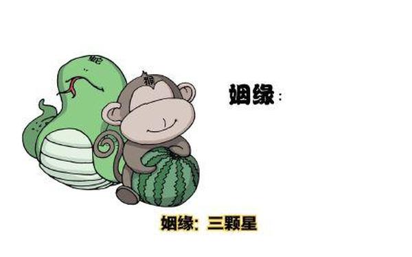 属猴的和属蛇的合不合得来(蛇和猴是相冲还是相合) 属猴的和属蛇的合不合得来(蛇和猴是相冲还是相合)