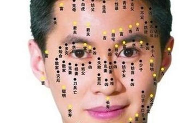 鼻相有痣图解大全男生—鼻子有痣的男人图解说