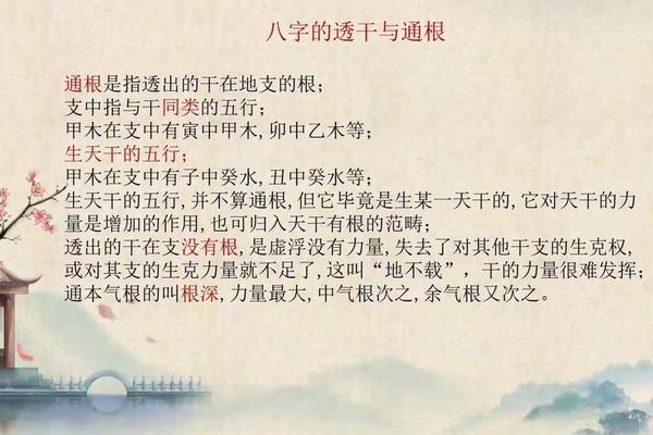 八字透干