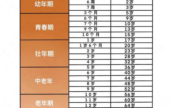属狗的今年多大了岁数表 属狗的今年多大了岁数表