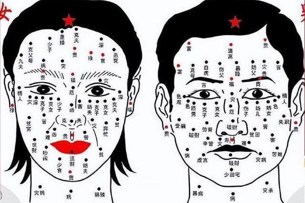 颧骨上的痣相全解看命运,颧骨痣的位置与命运图