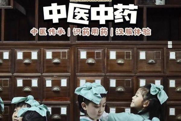 中医药文化传承(师夫子中医培训怎么样)