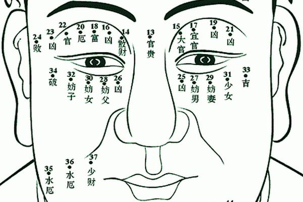 眉中的痣相算命图解-男人眉毛痣相图解大全
