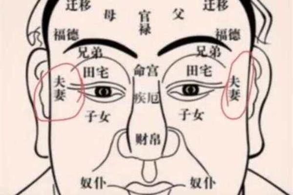 夫妻宫有善痣相;夫妻宫准确位置图