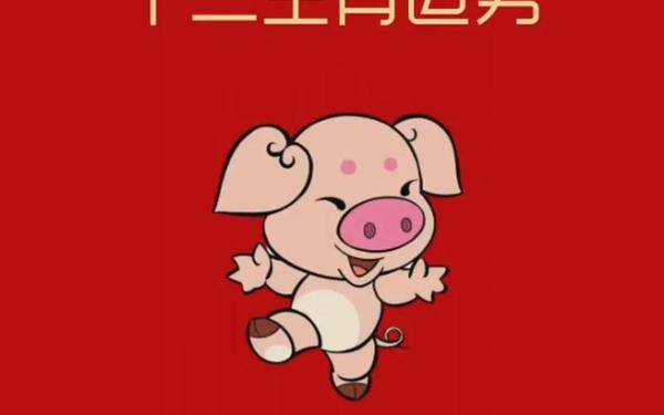 属猪多大2021年 属猪多大2021年