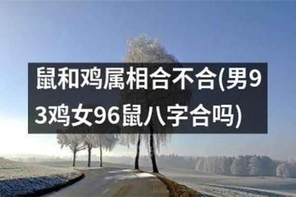 96年女鼠和98男虎八字合不合