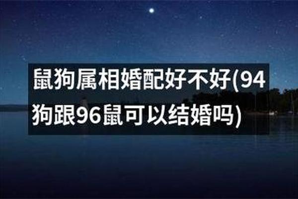 96年男鼠和94年女狗婚配吗