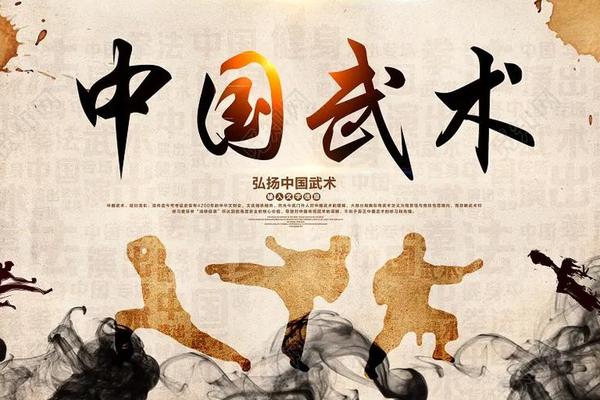 武术文化(传统武术文化)