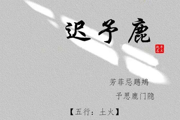 迟氏姓名大全