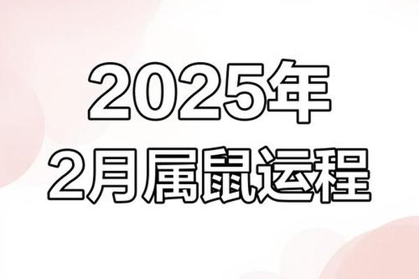 属鼠人今年运势2025年每月运势