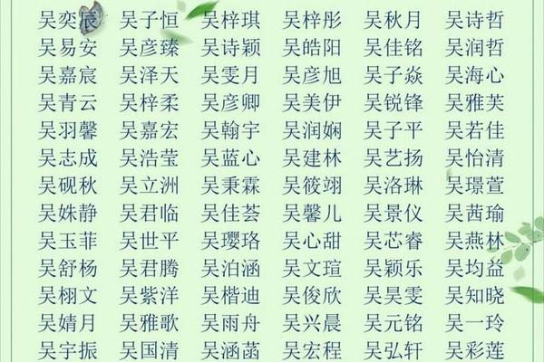 姓吴宝宝起名