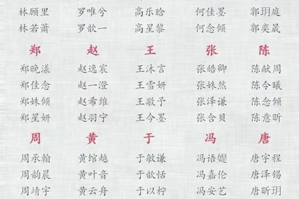 姓名怎么编目录